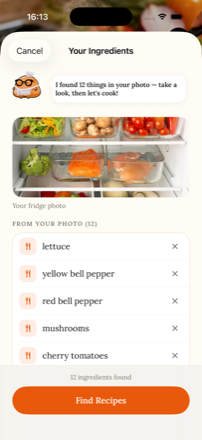 Ingredients identified from a fridge photo