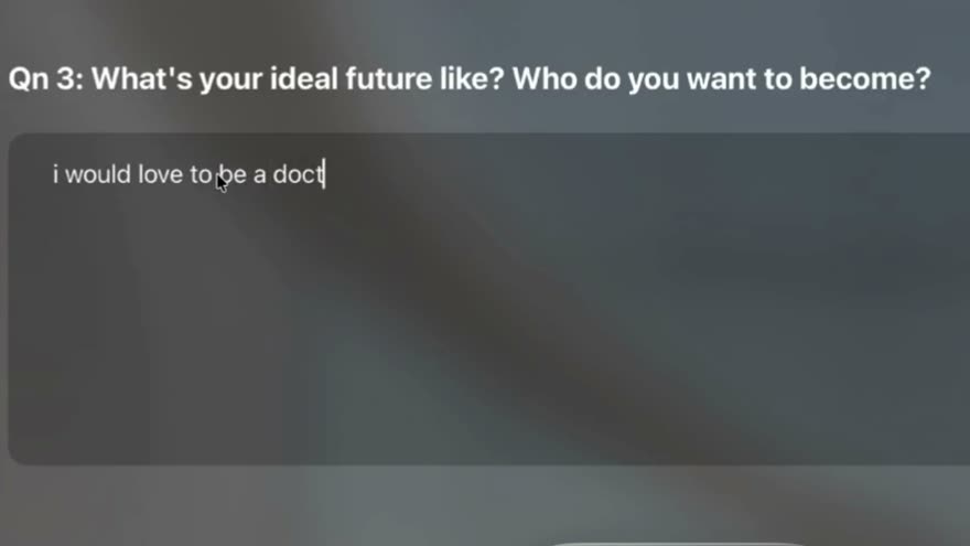 The questionnaire — what's your ideal future like?